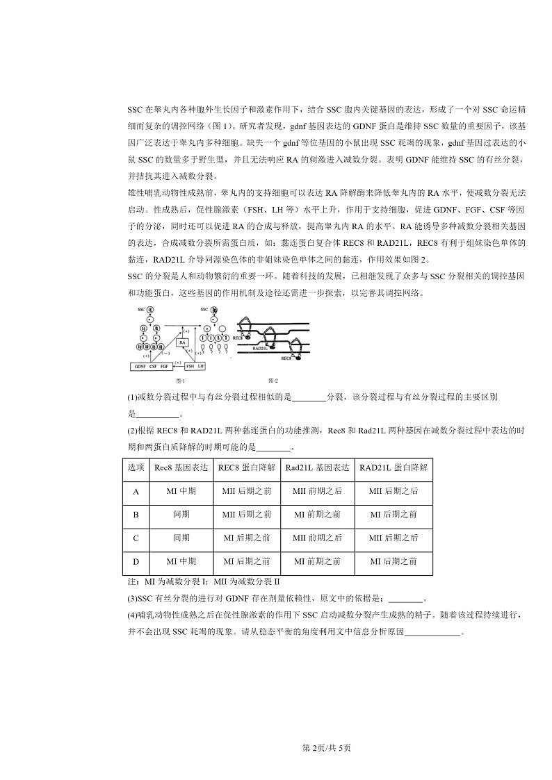 2024北京重点校高二下学期期中真题生物分类汇编：减数分裂和受精作用第2页