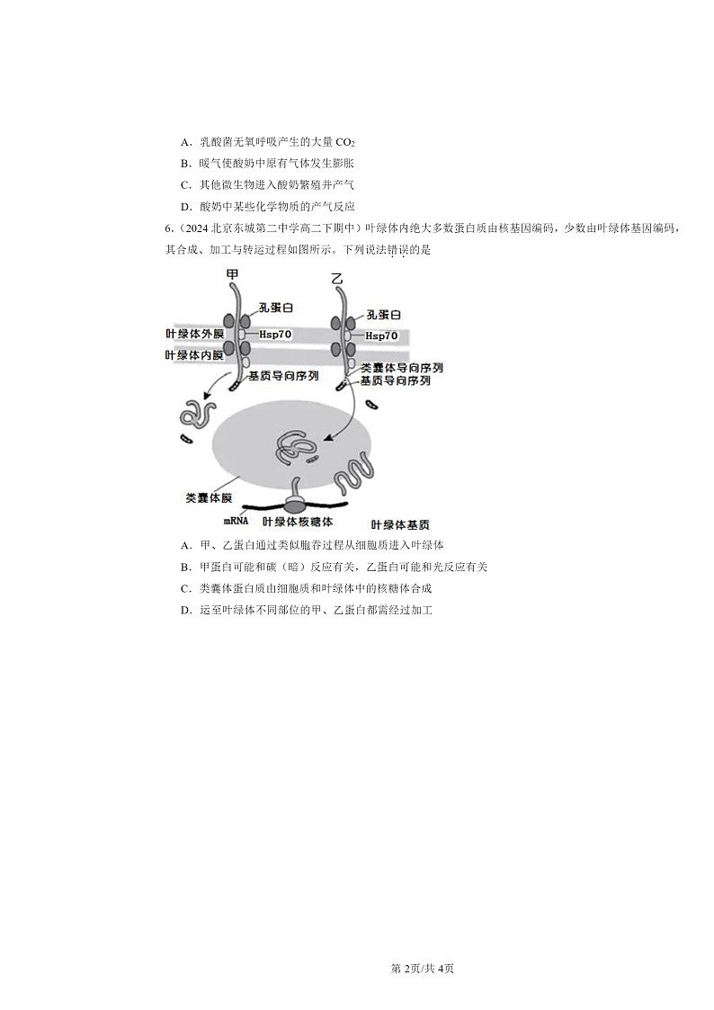 2024北京重点校高二下学期期中真题生物分类汇编：细胞的能量供应和利用章节综合第2页
