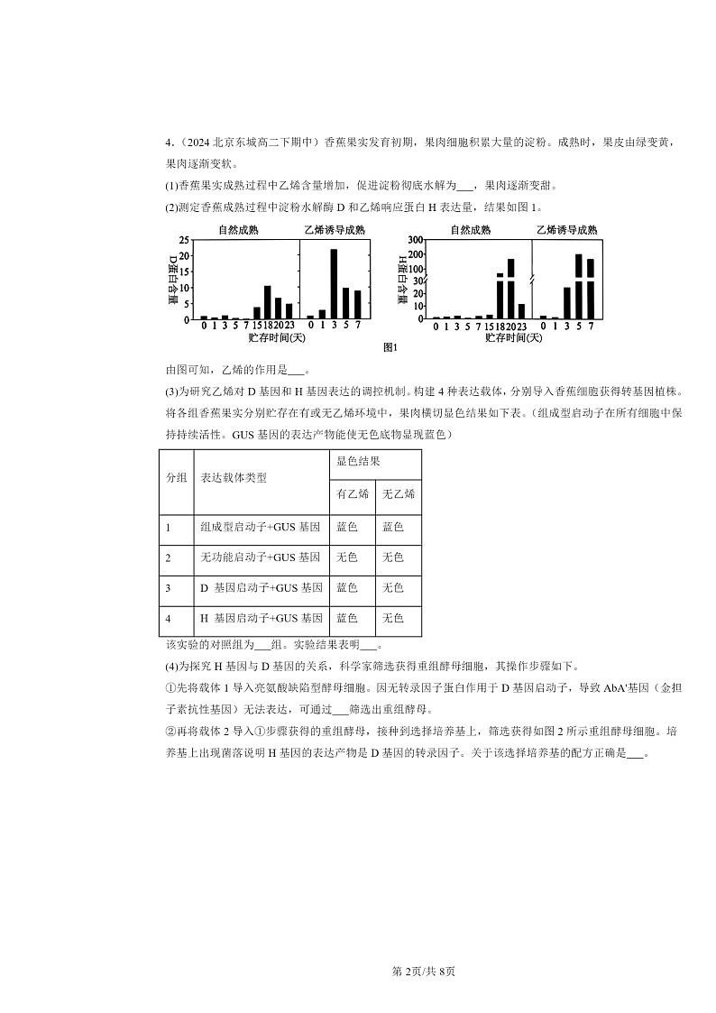 2024北京重点校高二下学期期中真题生物分类汇编：植物生命活动的调节章节综合第2页