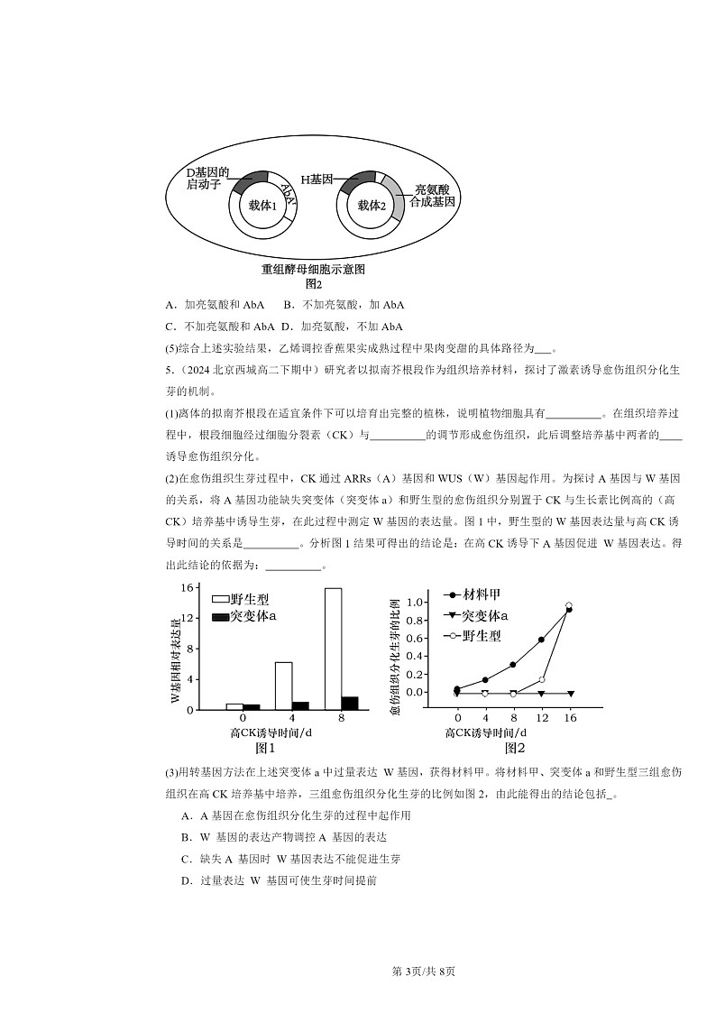 2024北京重点校高二下学期期中真题生物分类汇编：植物生命活动的调节章节综合第3页