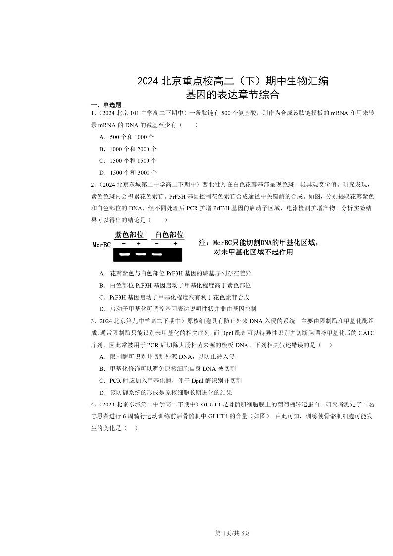2024北京重点校高二下学期期中真题生物分类汇编：基因的表达章节综合第1页