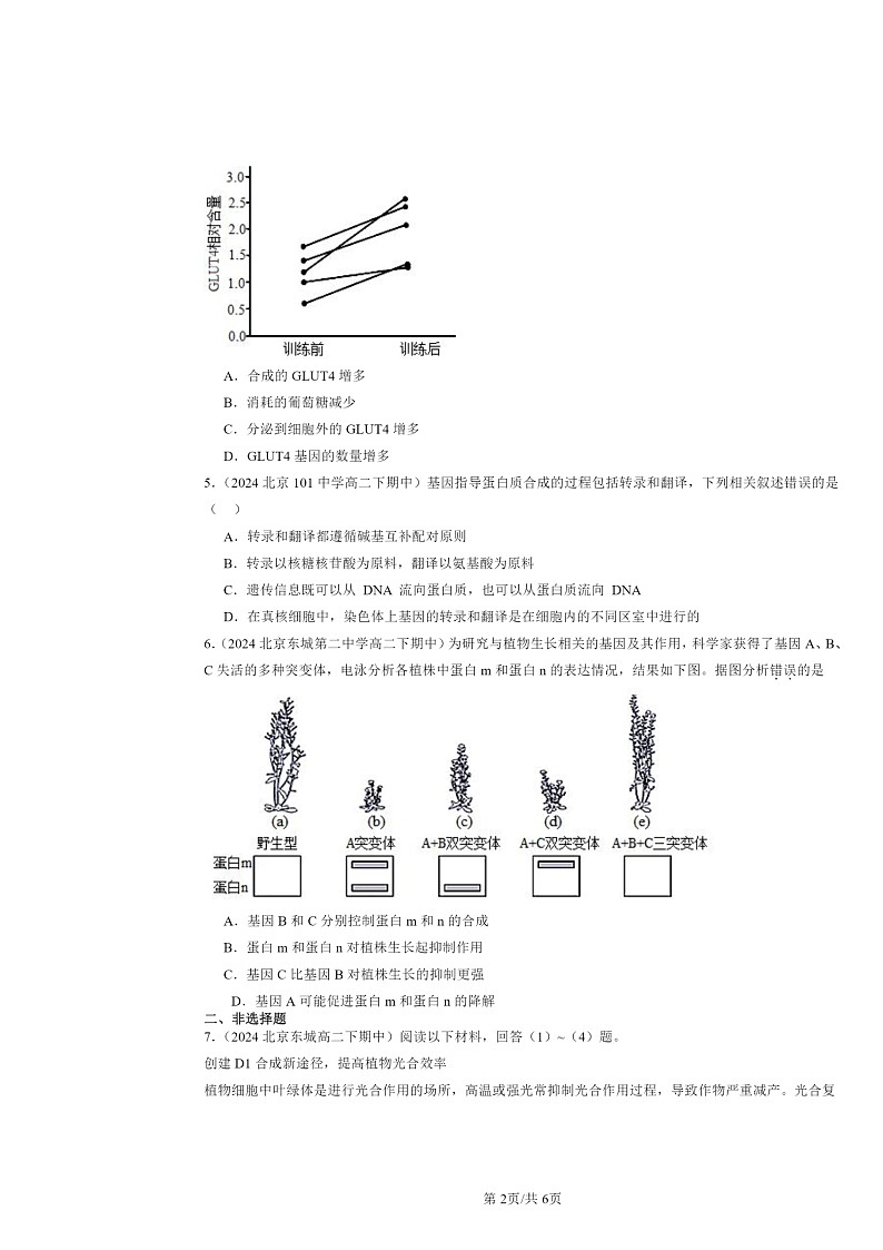 2024北京重点校高二下学期期中真题生物分类汇编：基因的表达章节综合第2页