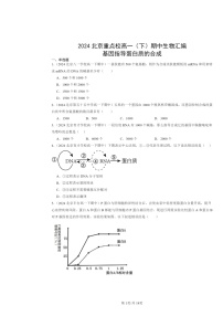 2024北京重点校高一下学期期中真题生物分类汇编：基因指导蛋白质的合成