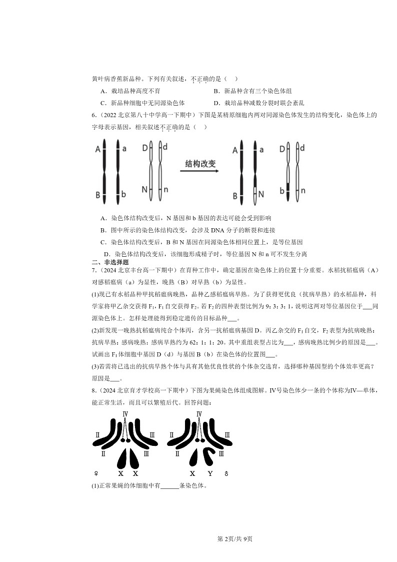 2022～2024北京重点校高一下学期期中真题生物分类汇编：染色体变异第2页