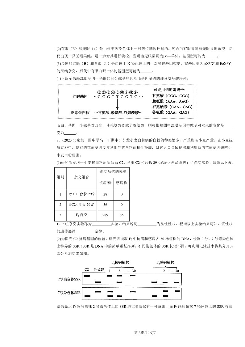 2022～2024北京重点校高一下学期期中真题生物分类汇编：染色体变异第3页