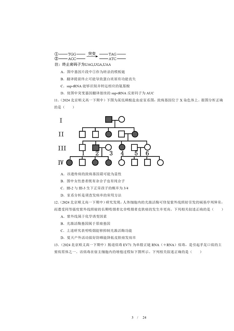 2024北京重点校高一下学期期中真题生物分类汇编：基因突变及其它变异章节综合第3页