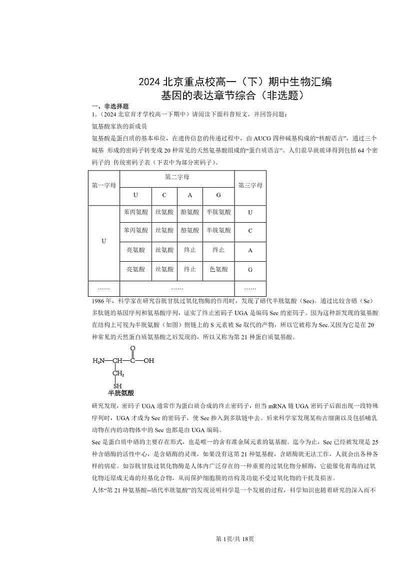 2024北京重点校高一下学期期中真题生物分类汇编：基因的表达章节综合（非选题）第1页