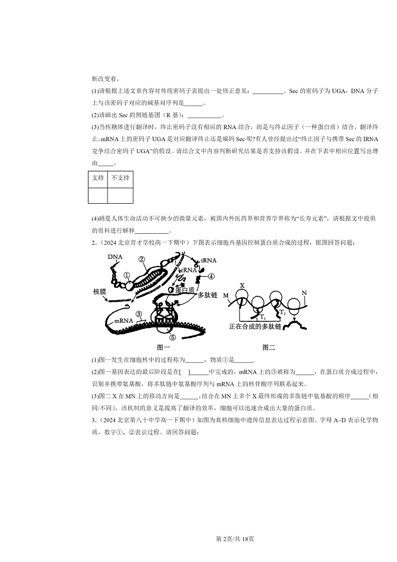 2024北京重点校高一下学期期中真题生物分类汇编：基因的表达章节综合（非选题）第2页