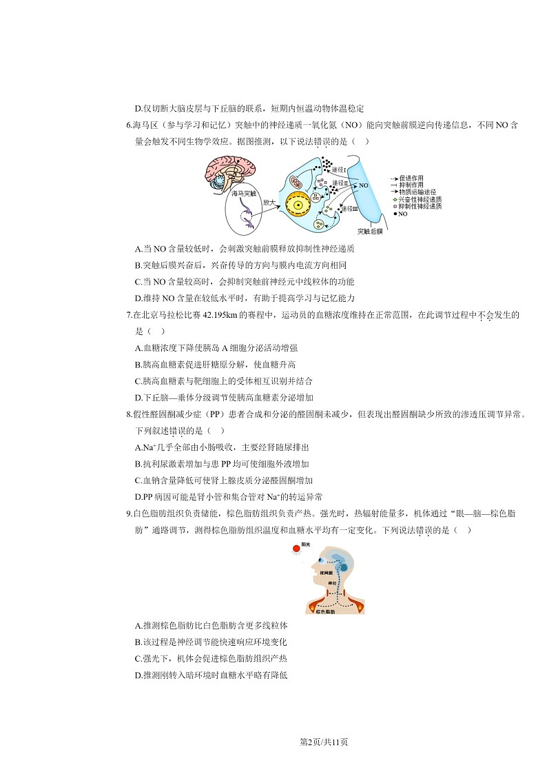 2024北京丰台高二上学期期中生物（A卷）试卷及答案02