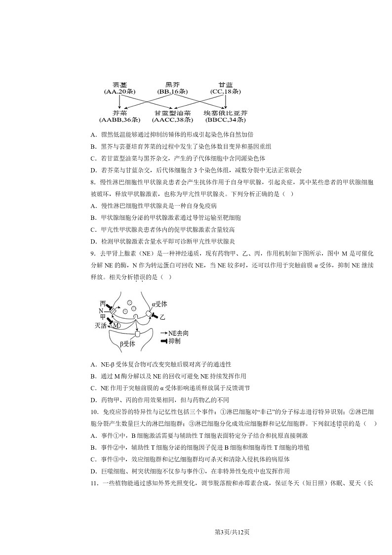 2024北京五十五中高三上学期期中生物试卷及答案第3页