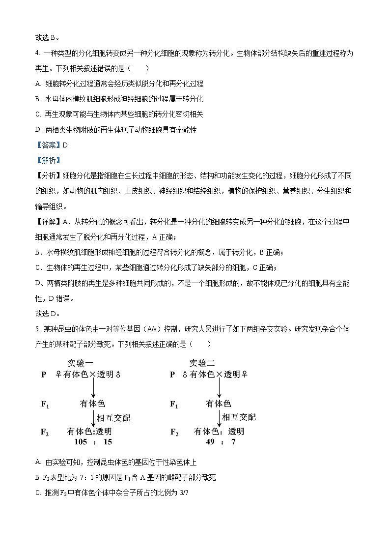 河北省承德市承德县第一中学等校2024-2025学年高三上学期10月月考生物试题含解析第3页