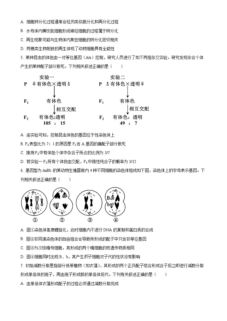河北省承德市承德县第一中学等校2024-2025学年高三上学期10月月考生物试题无答案第2页