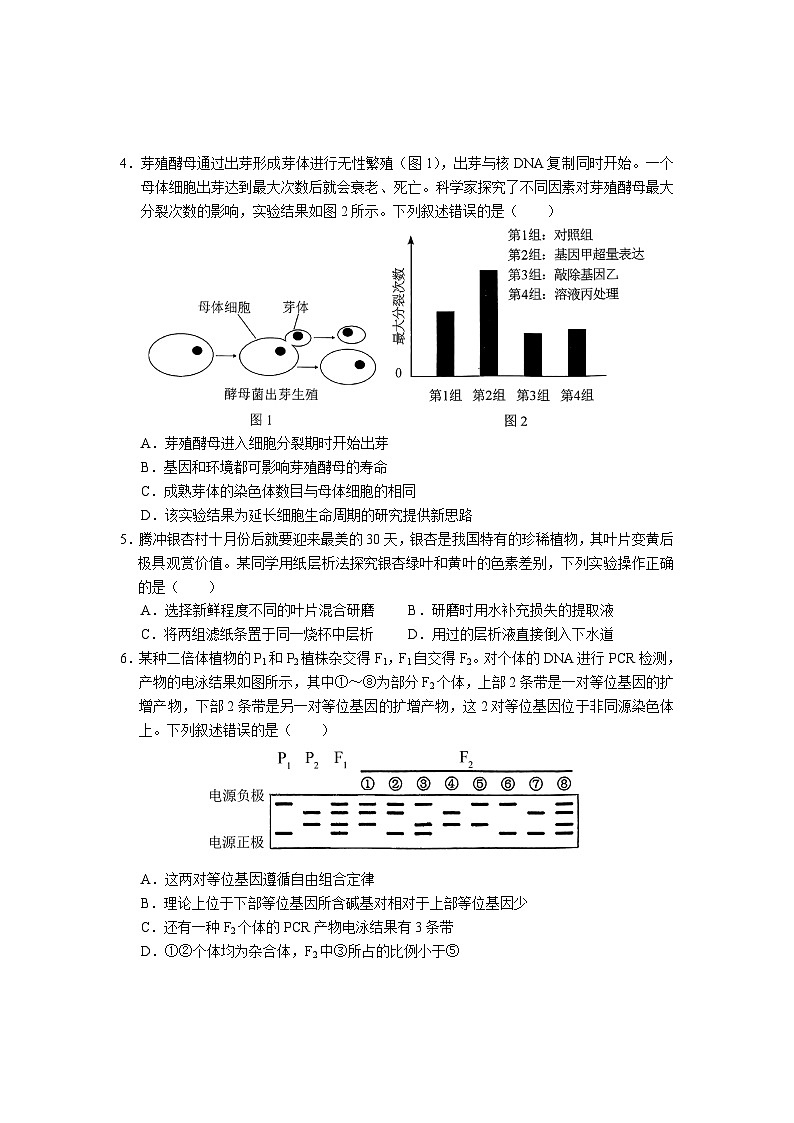 2025德宏州高三上学期开学定位监测试题生物含答案第2页