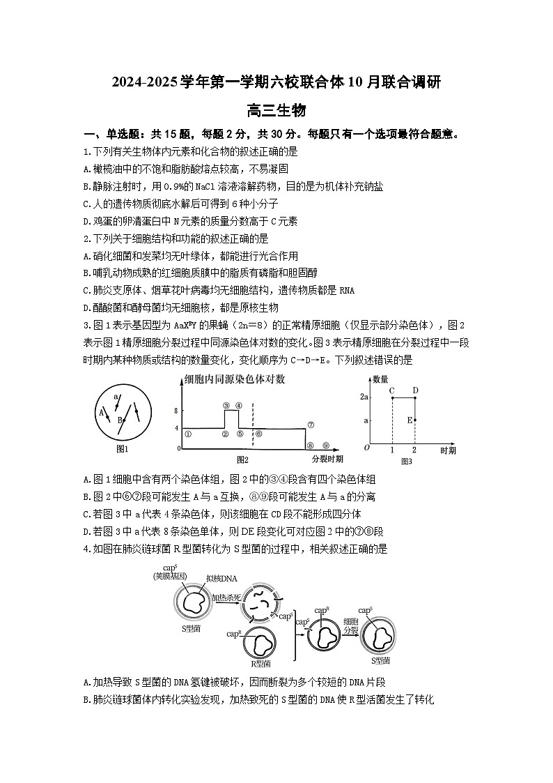 生物试题第1页