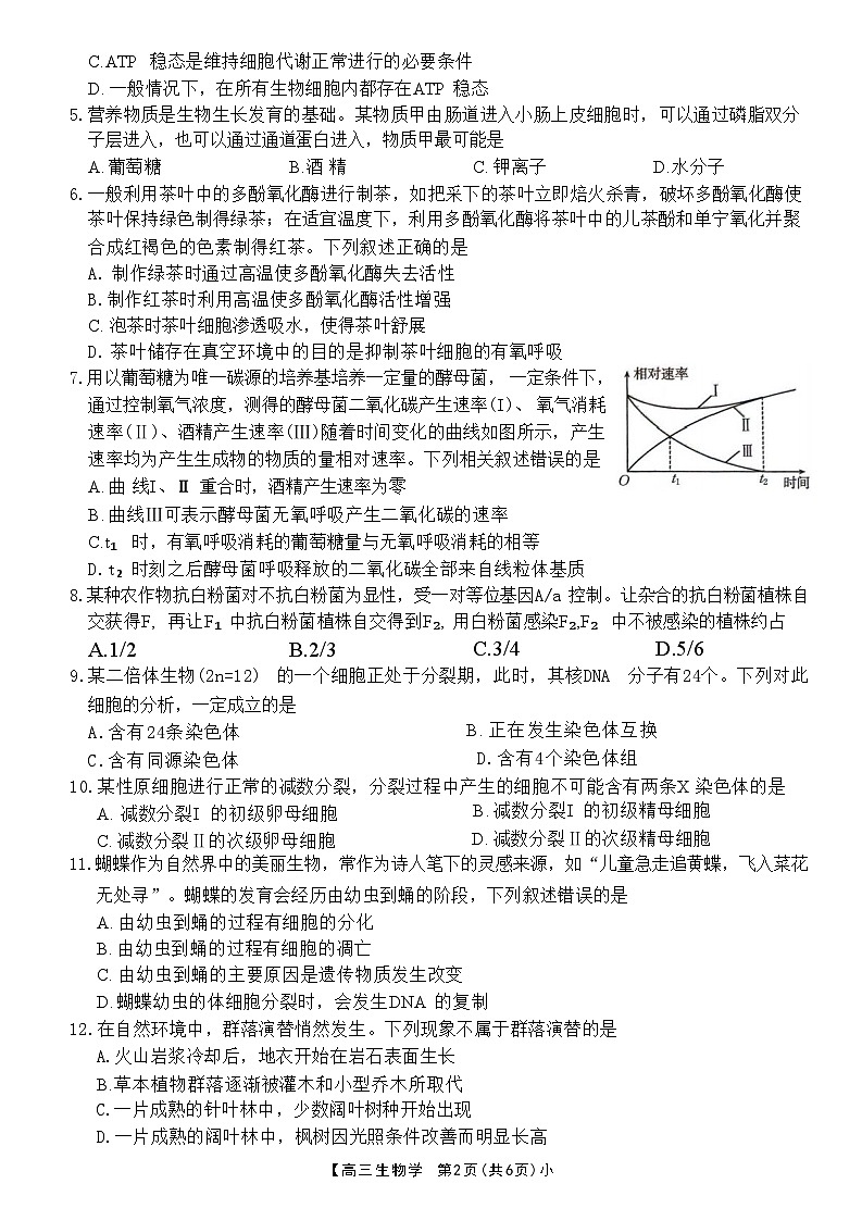 2025衡水桃城区高三上学期10月月考试题生物含答案第2页