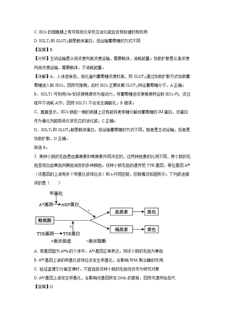 安徽省多校2024-2025学年高二上学期10月联考生物试卷第2页