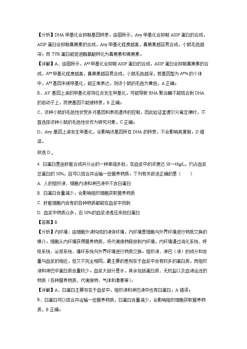 安徽省多校2024-2025学年高二上学期10月联考生物试卷第3页