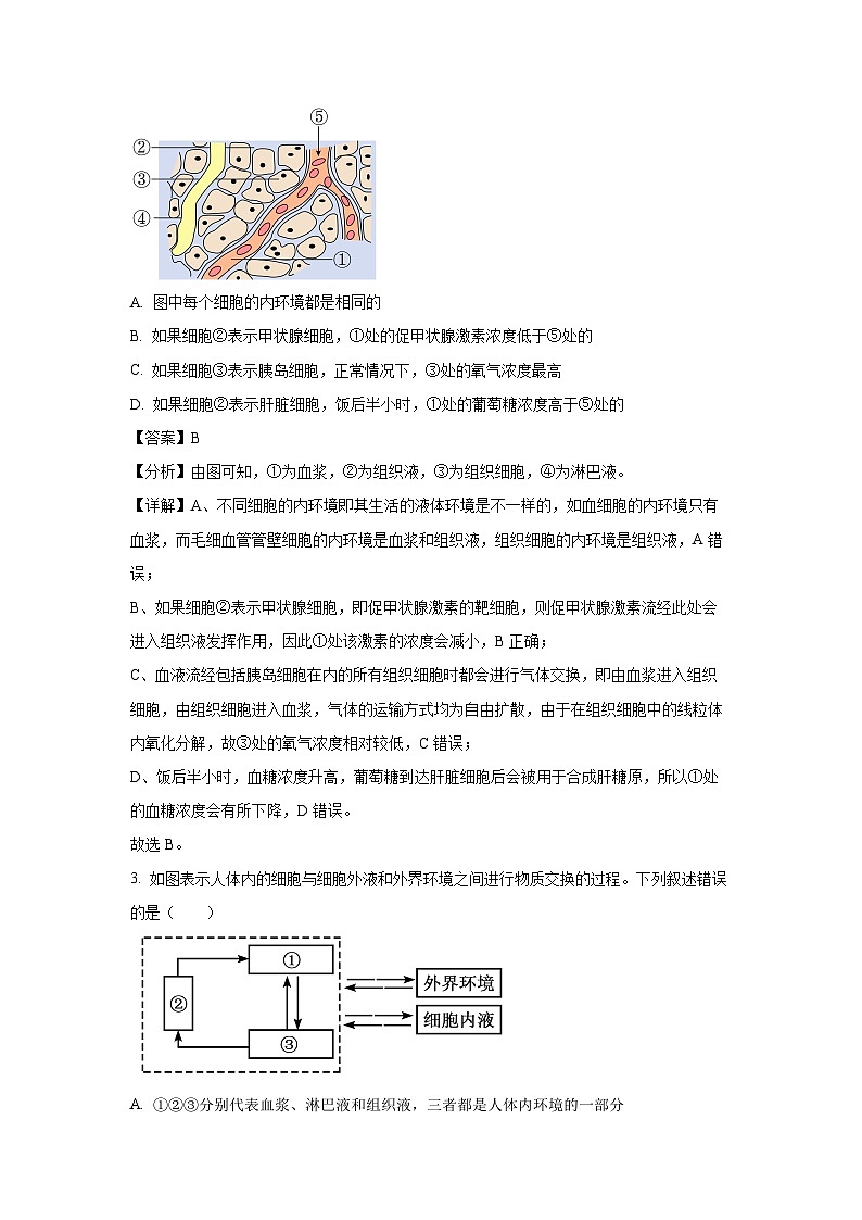 山西省晋中现代双语学校南校区2024-2025学年高二上学期10月月考生物试卷第2页