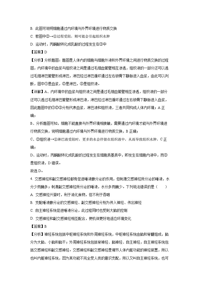 山西省晋中现代双语学校南校区2024-2025学年高二上学期10月月考生物试卷第3页