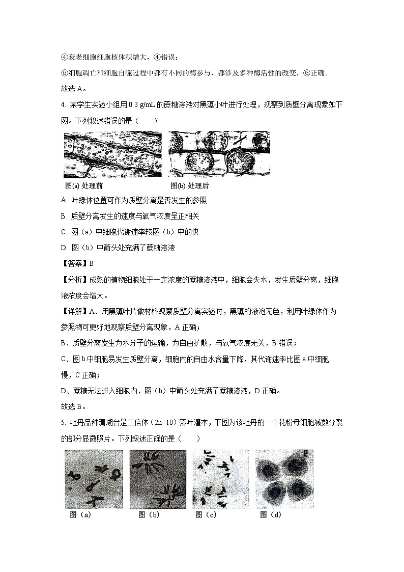 陕西省2025届普通高中学业水平选择性考试(模拟)生物试卷第3页