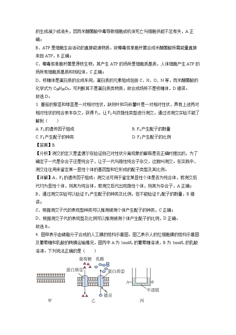 湖南省岳阳市岳汨五月联考2023-2024学年高一下学期5月月考生物试卷第2页