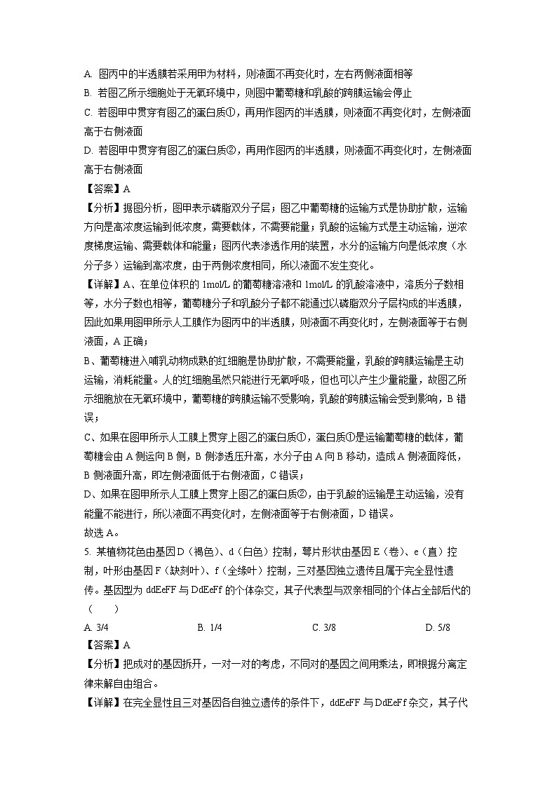 湖南省岳阳市岳汨五月联考2023-2024学年高一下学期5月月考生物试卷第3页