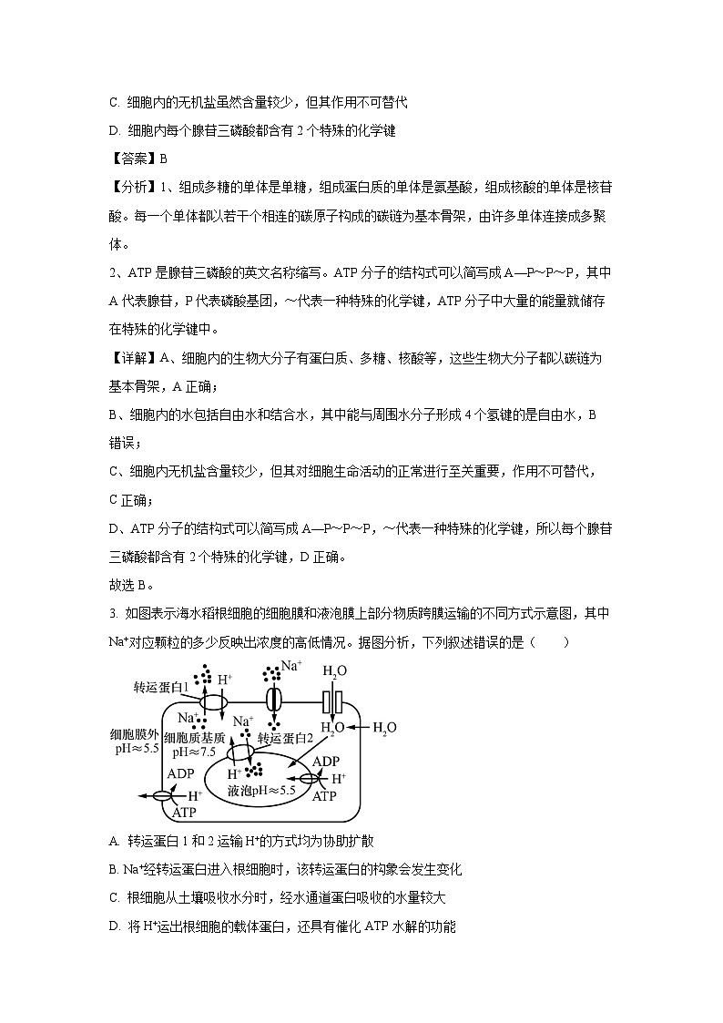 河南省安阳市滑县2022-2023学年高二下学期期末测评生物试卷(解析版)第2页