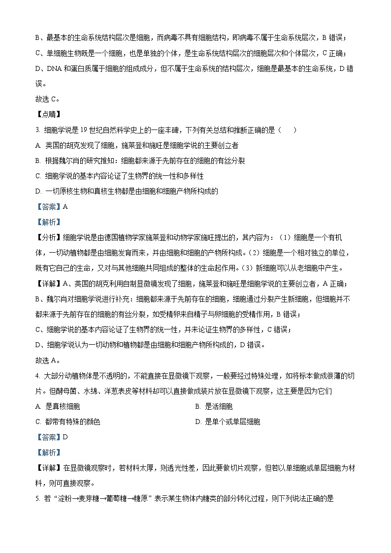 河南省驻马店市经济开发区2024-2025学年高一上学期10月月考生物试题  Word版含解析第2页