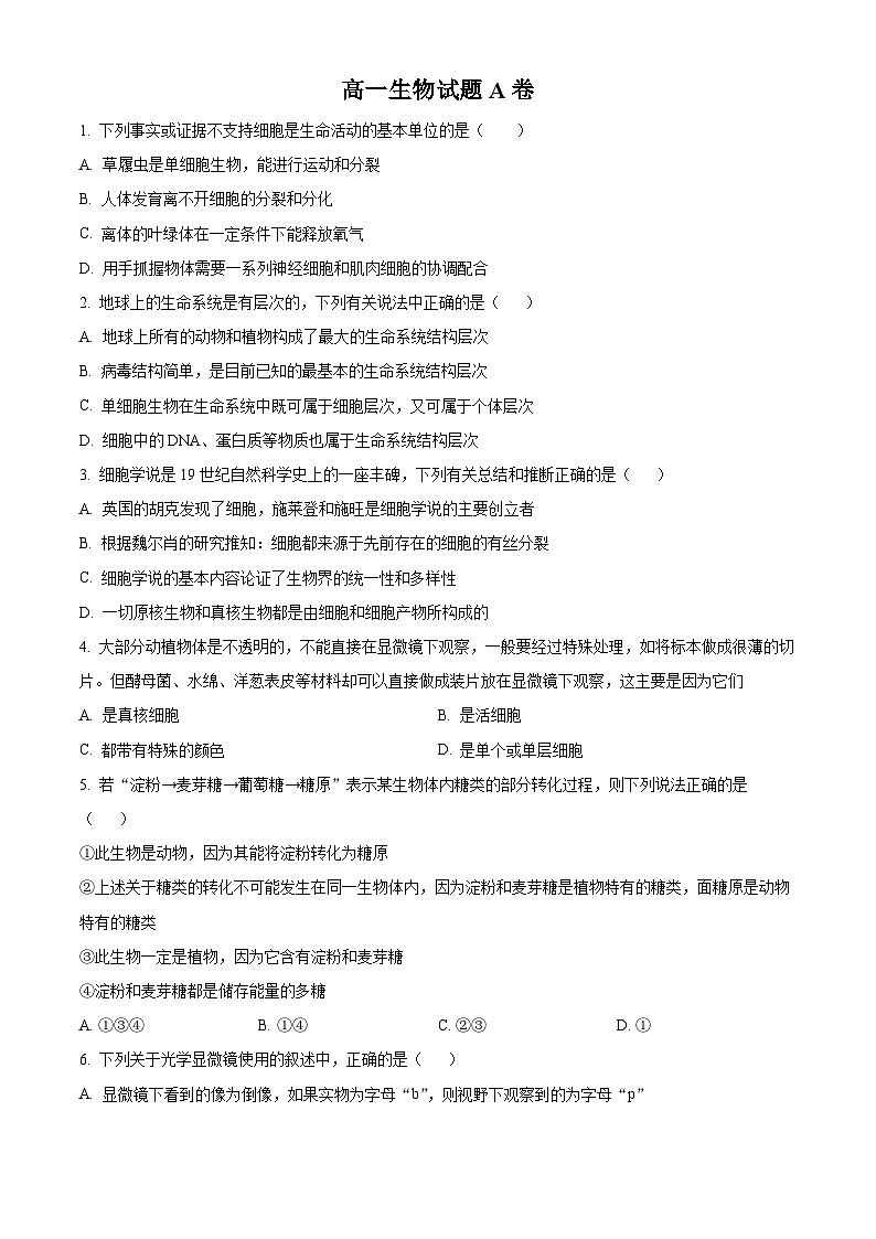 河南省驻马店市经济开发区2024-2025学年高一上学期10月月考生物试题  Word版无答案第1页