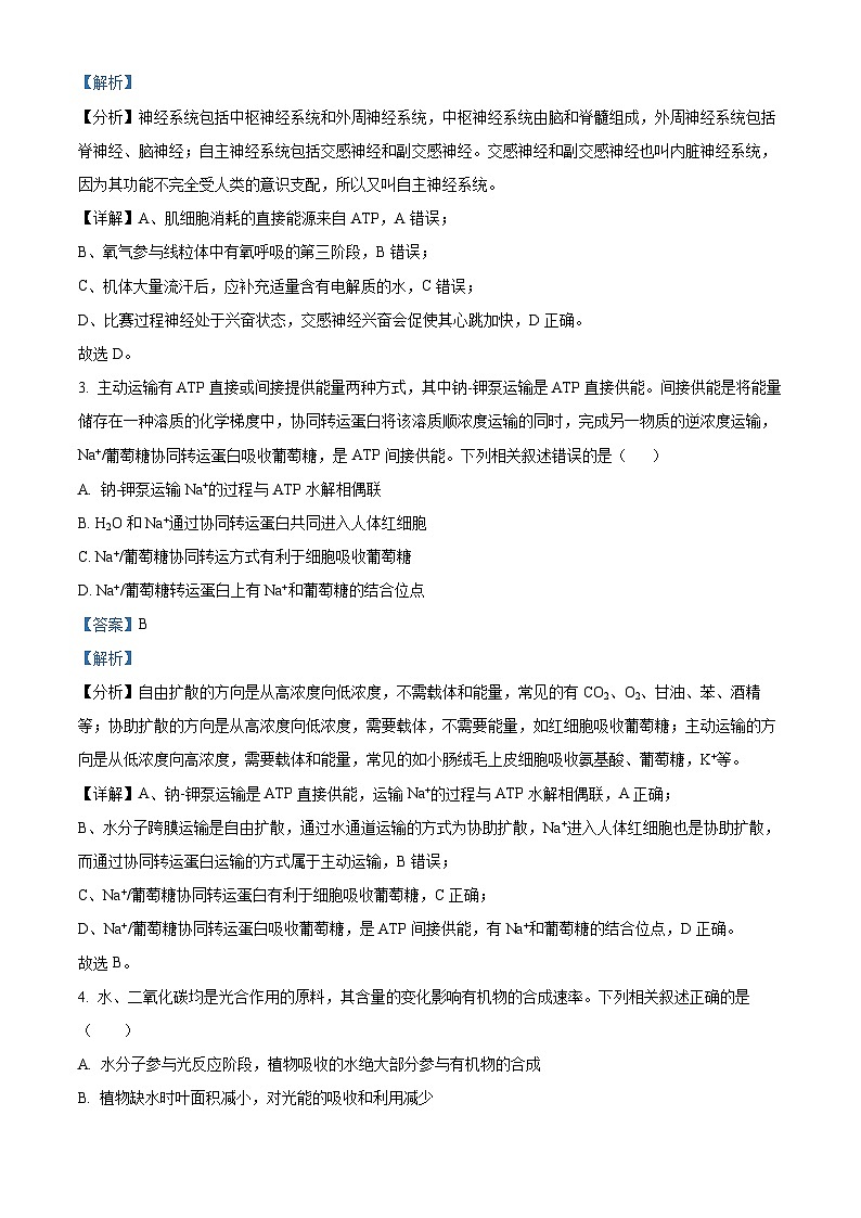 河南省许平汝名校2024-2025学年高三上学期10月期中考试生物试题  Word版含解析第2页