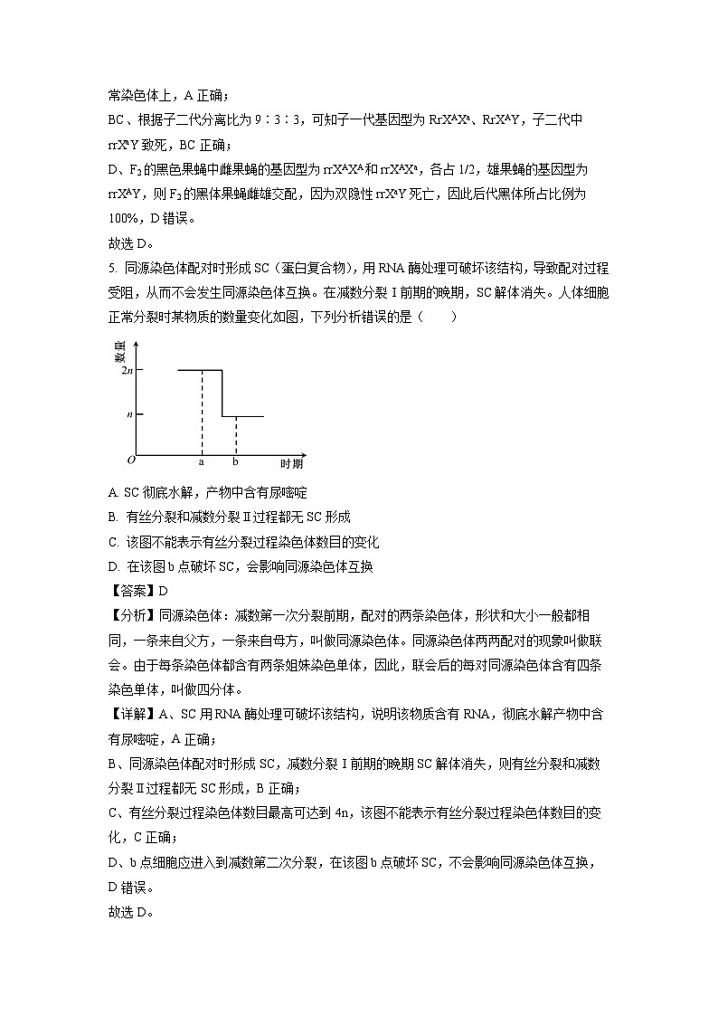 山东省潍坊市联考2023-2024学年高一下学期5月期中考试生物试卷(解析版)第3页