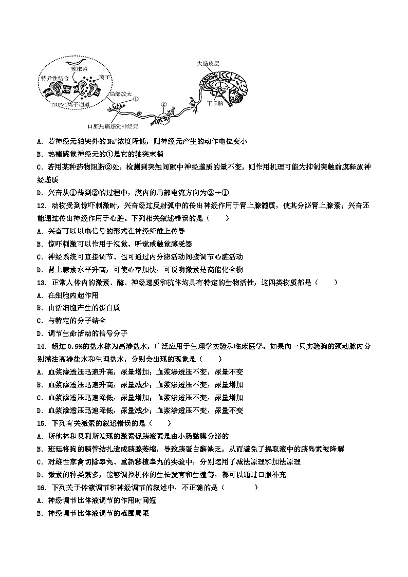 1111新 2024-2025学年高二生物第一学期期中考试第3页