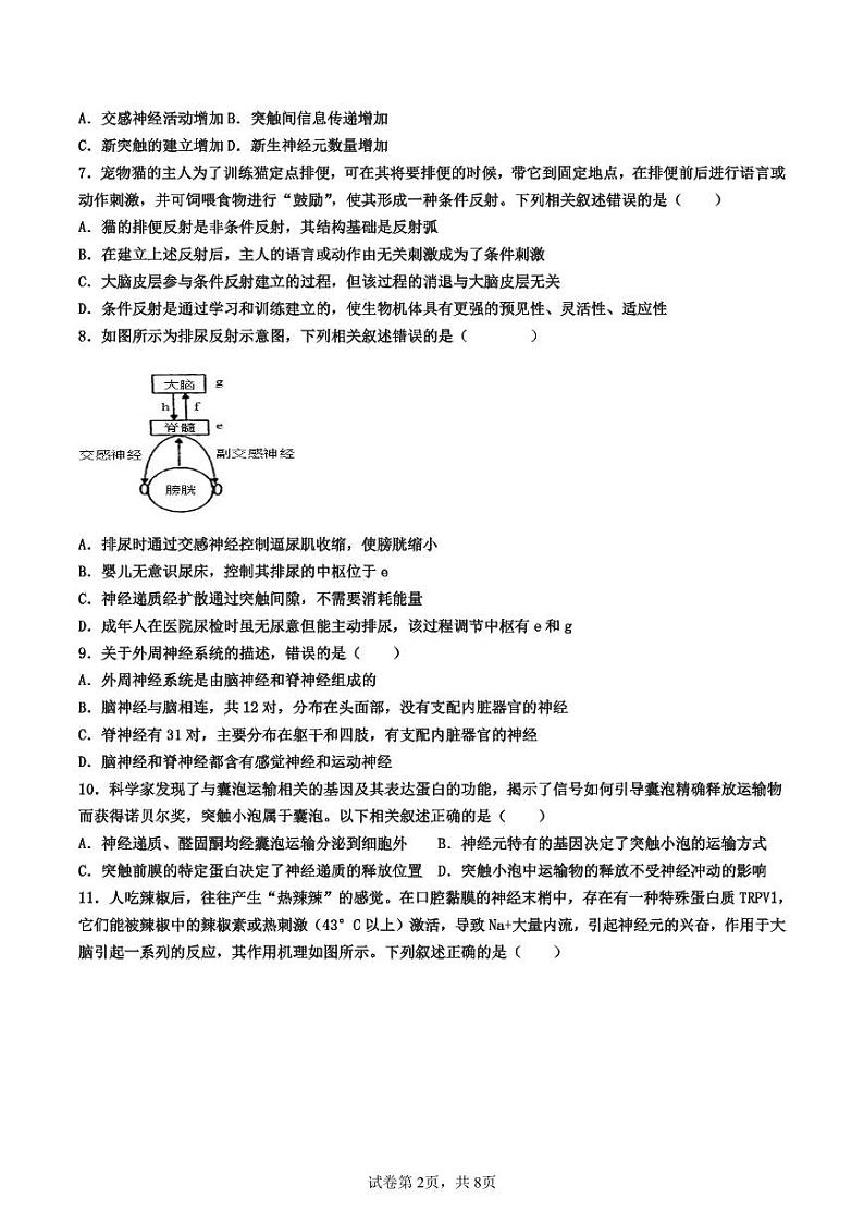 1111新 2024-2025学年高二生物第一学期期中考试第2页