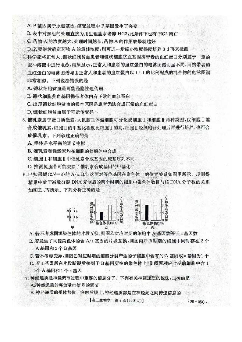 河北省邢台市邢襄联盟2024-2025学年高三上学期开学考试+生物第2页