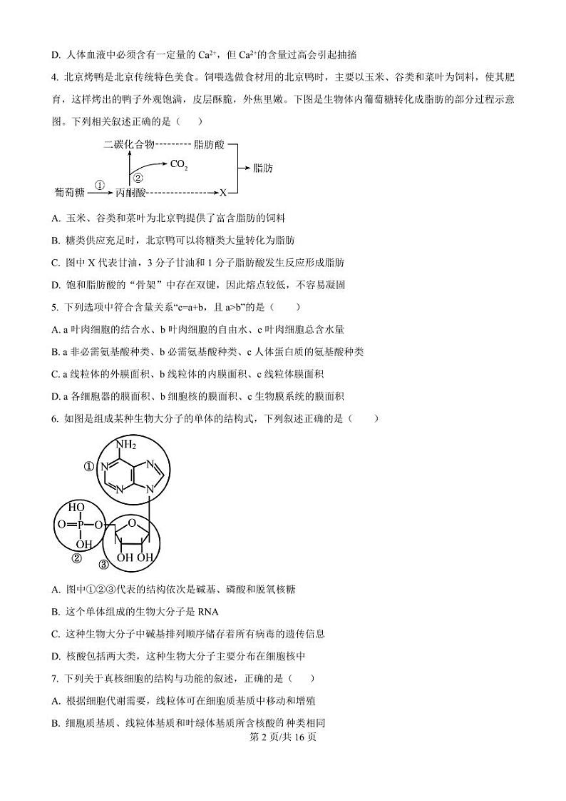2025届陕西省西安中学高三上学期10月月考-生物试题+答案第2页