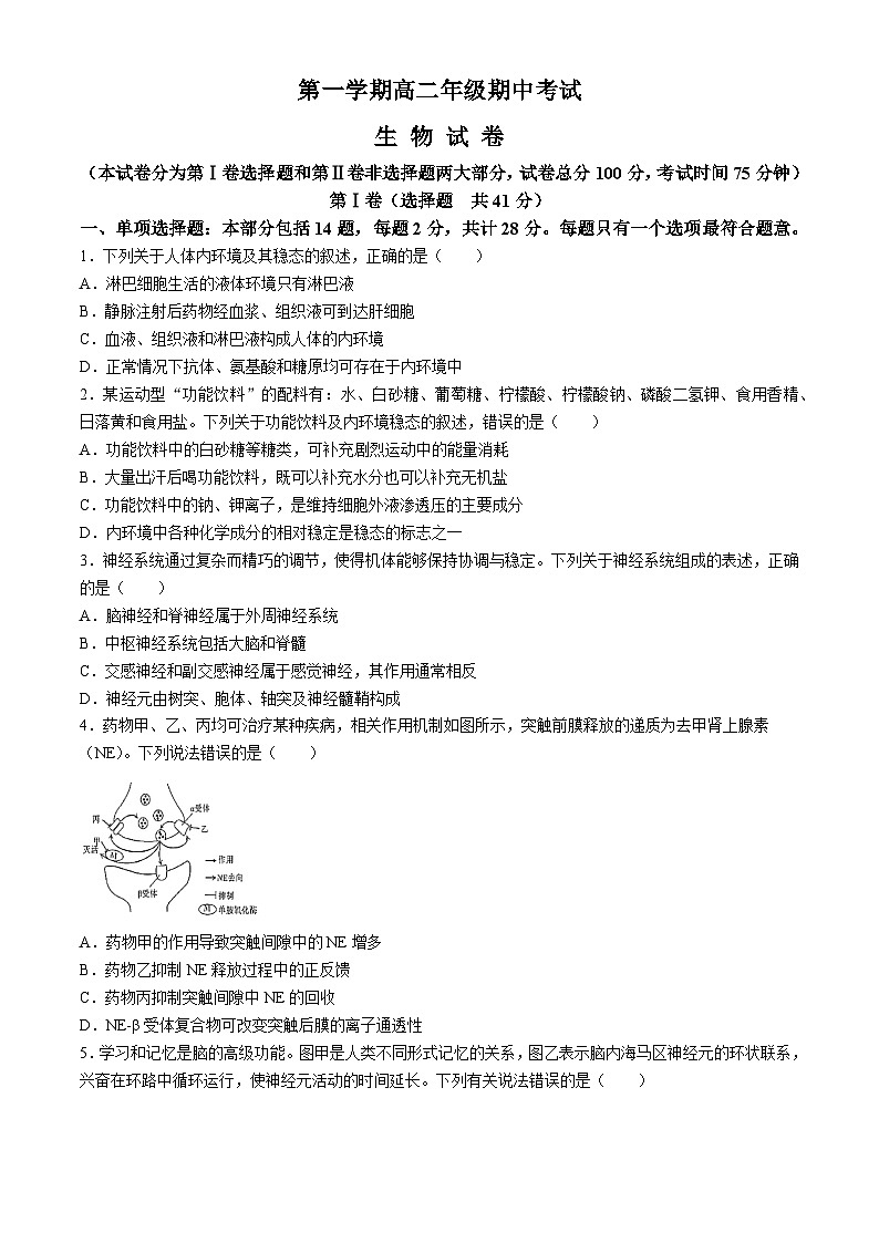 甘肃省嘉峪关市嘉峪关市第一中学2024-2025学年高二上学期11月期中生物试题(无答案)01