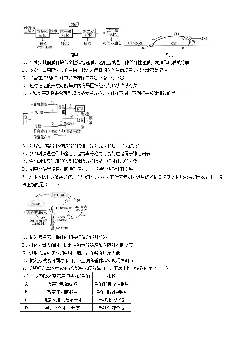 甘肃省嘉峪关市嘉峪关市第一中学2024-2025学年高二上学期11月期中生物试题(无答案)02