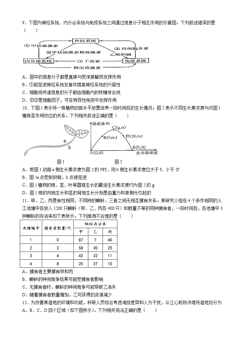 甘肃省嘉峪关市嘉峪关市第一中学2024-2025学年高二上学期11月期中生物试题(无答案)03