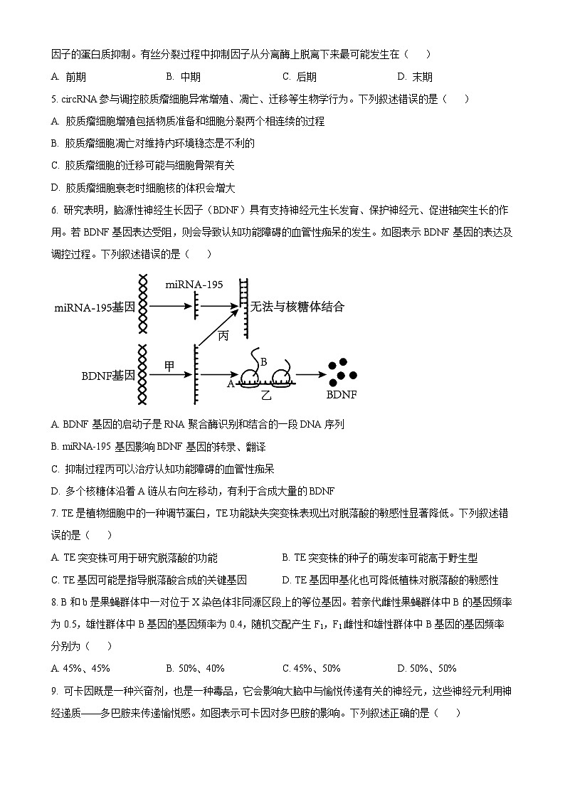 河南省安阳市林州市晋豫名校联盟2024-2025学年高三上学期10月月考生物试题第2页