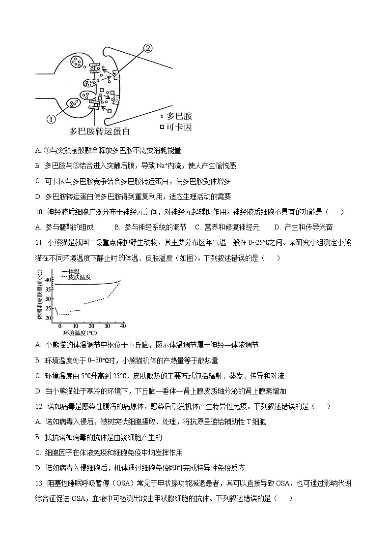 河南省安阳市林州市晋豫名校联盟2024-2025学年高三上学期10月月考生物试题第3页