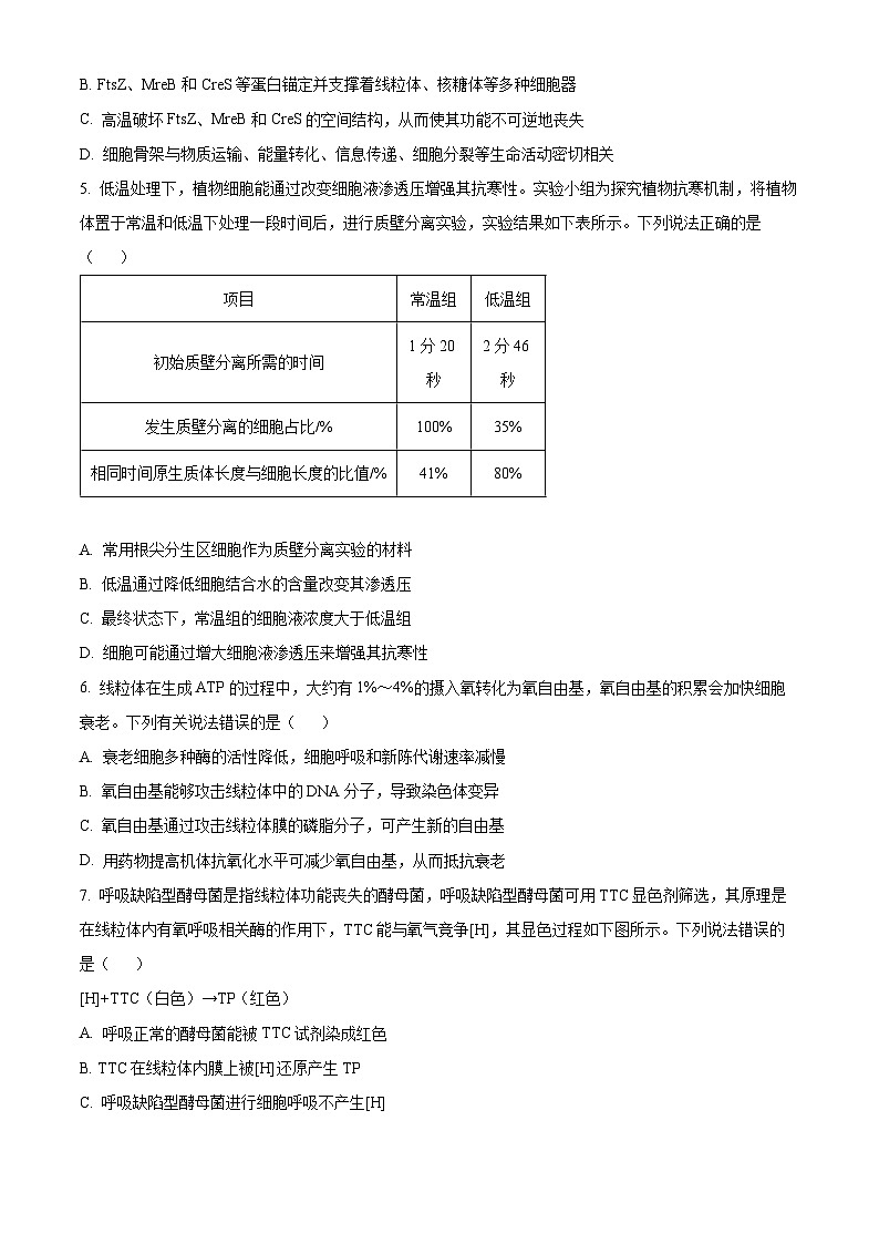 2025山西省部分学校高三上学期阶段性测试（二）生物含答案02