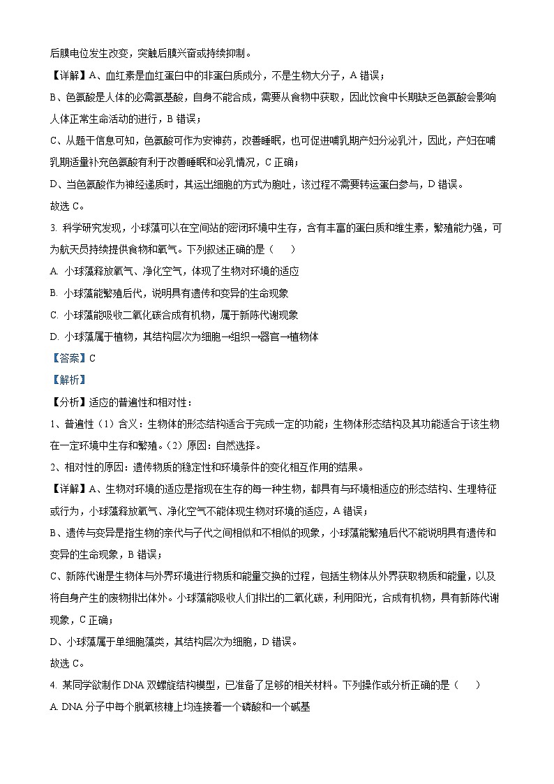 湖北省武汉外国语学校2025届高三上学期10月考试生物试题含解析第2页