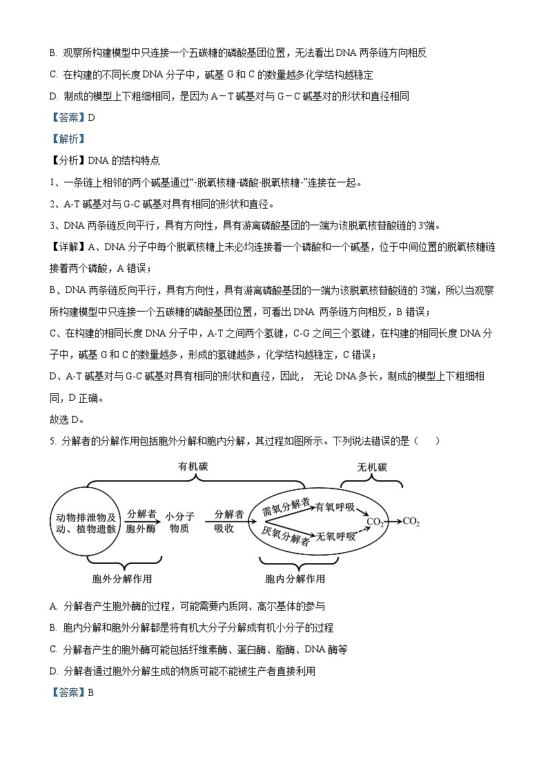 湖北省武汉外国语学校2025届高三上学期10月考试生物试题含解析第3页