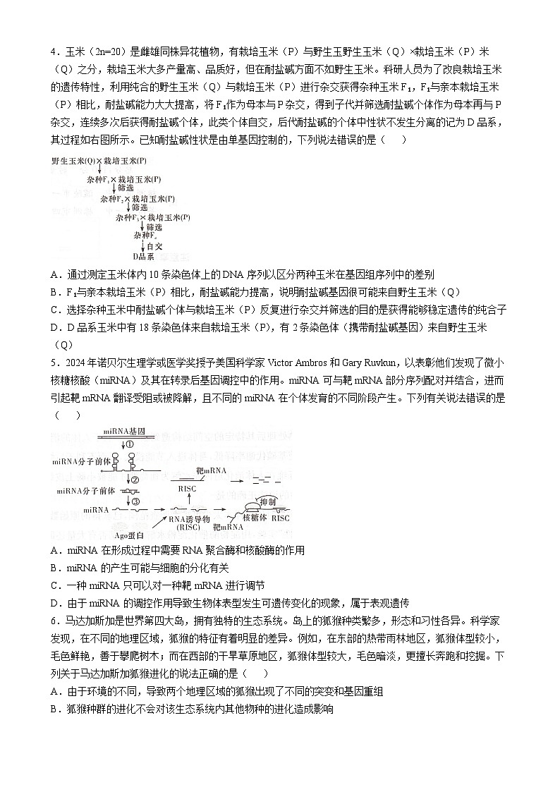 2025湖南省湘东十校高三上学期10月联生物试题含解析第2页