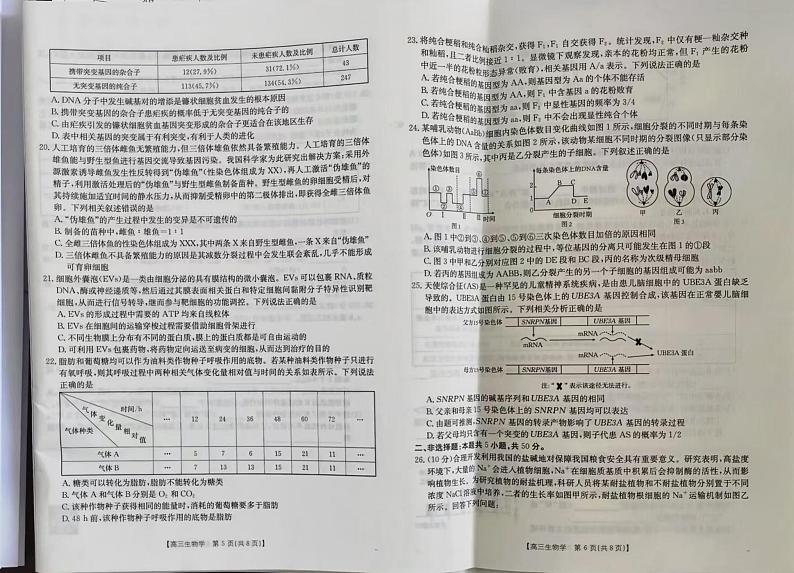 2025维吾尔自治区部分学校高三上学期10月联考试题生物PDF版含解析第2页