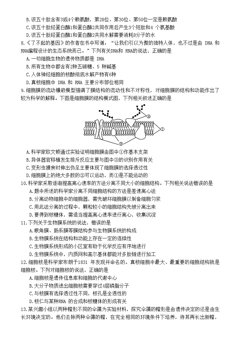 2023—2024学年(上)高一年级期中考试生物试卷第3页