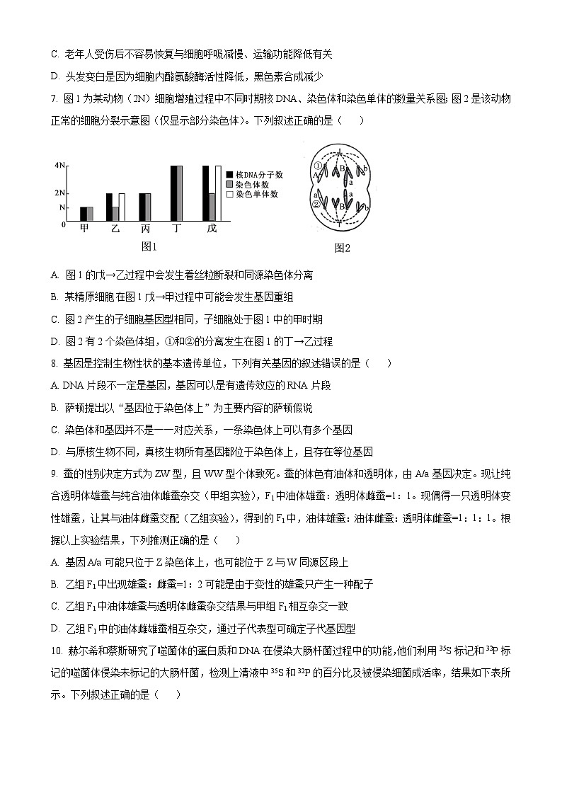 河南省开封市尉氏县联考2024-2025学年高三上学期10月月考生物试卷（Word版附解析）03