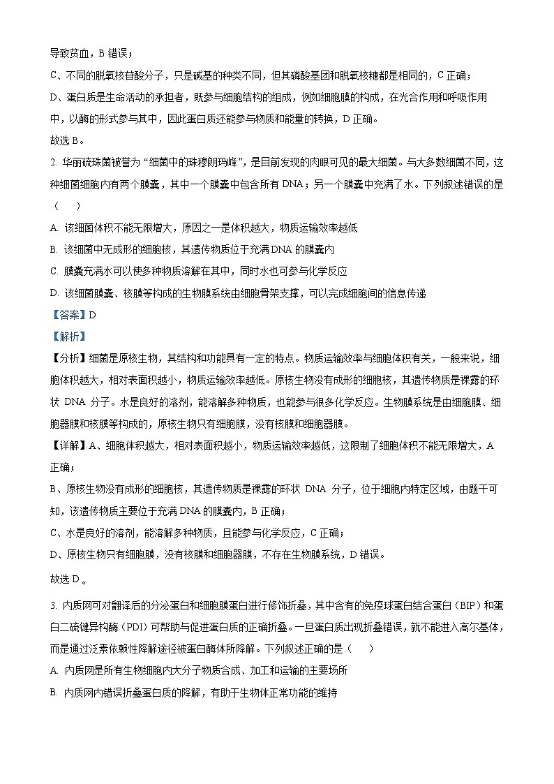 河南省开封市尉氏县联考2024-2025学年高三上学期10月月考生物试卷（Word版附解析）02