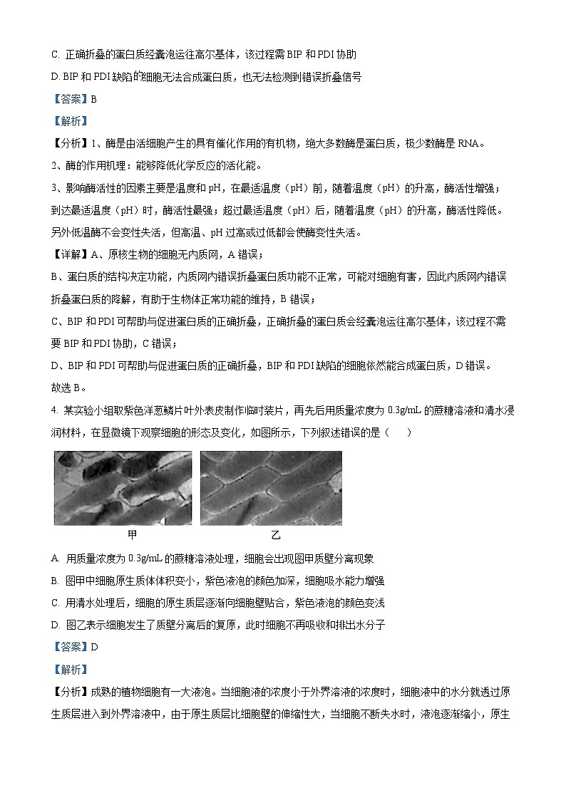 河南省开封市尉氏县联考2024-2025学年高三上学期10月月考生物试卷（Word版附解析）03