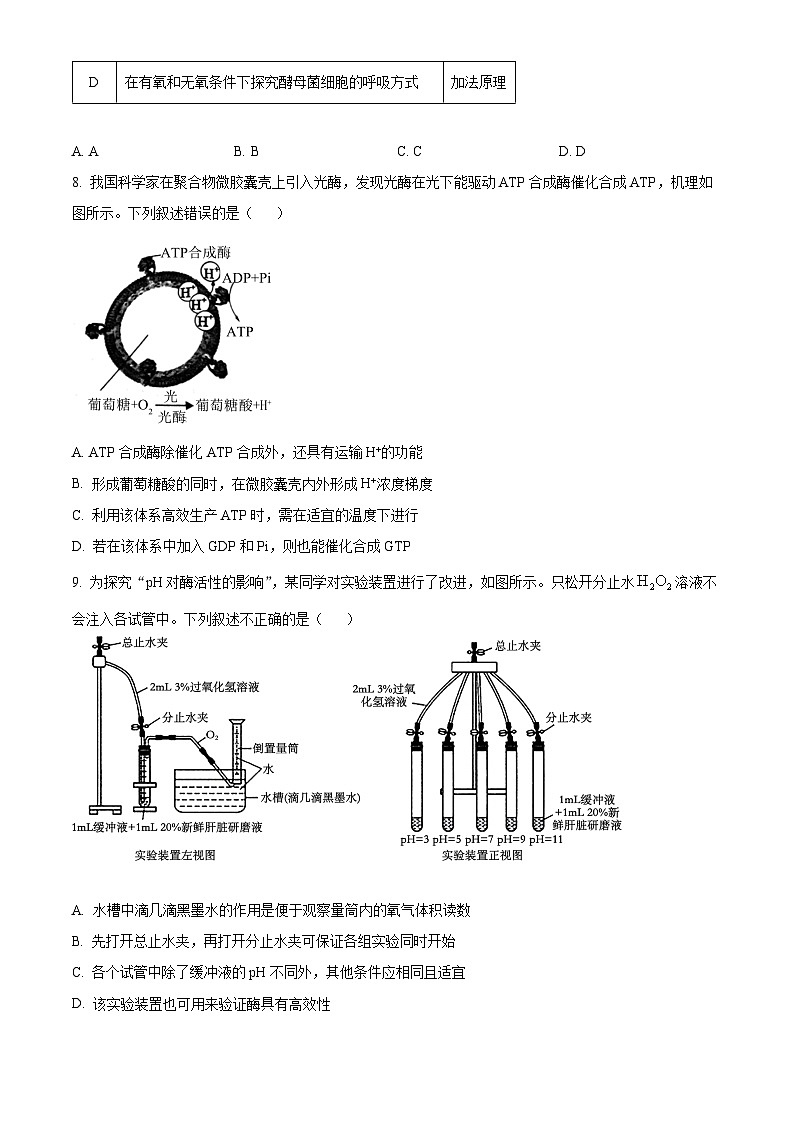 2025届河南省信阳市高三第一次教学质量检测（一模）生物试卷 Word版无答案第3页